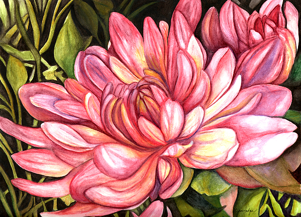 600x433 Pink Chrysanthemum Painting By Elaine Hodges - Chrysanthemum Painting