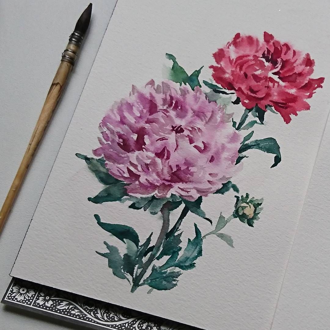 1080x1080 Can You Tell It's Chrysanthemum - Chrysanthemum Painting
