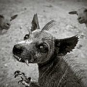 180x180 El Chupacabra Wood Print By Randy Turnbow - Chupacabra Painting