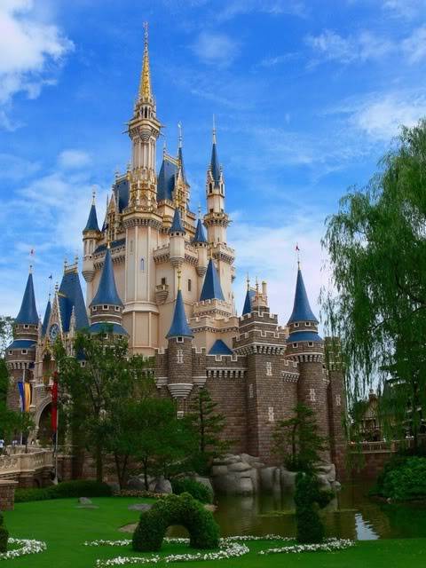 480x640 Cinderellas Castle Painting - Cinderellas Castle Painting