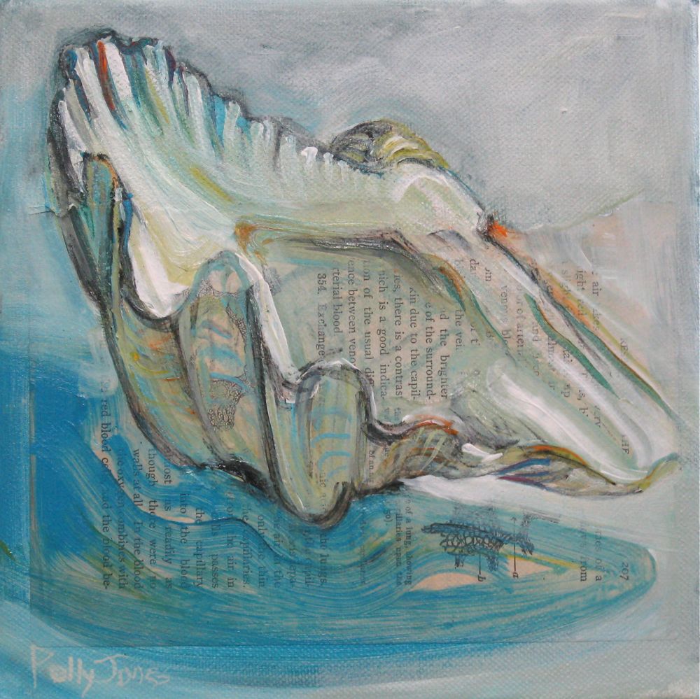 1000x999 Small Wonders Daily Paintings By Polly Jones A Clam And A Whelk - Clam Painting