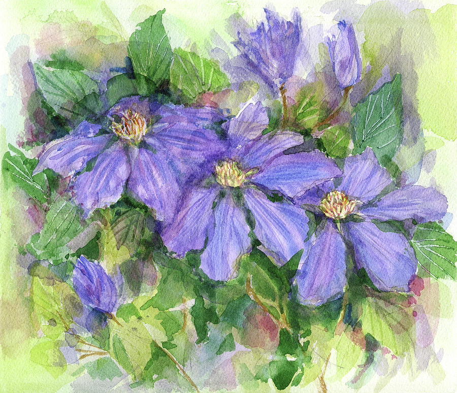 Clematis Painting at PaintingValley.com | Explore collection of ...