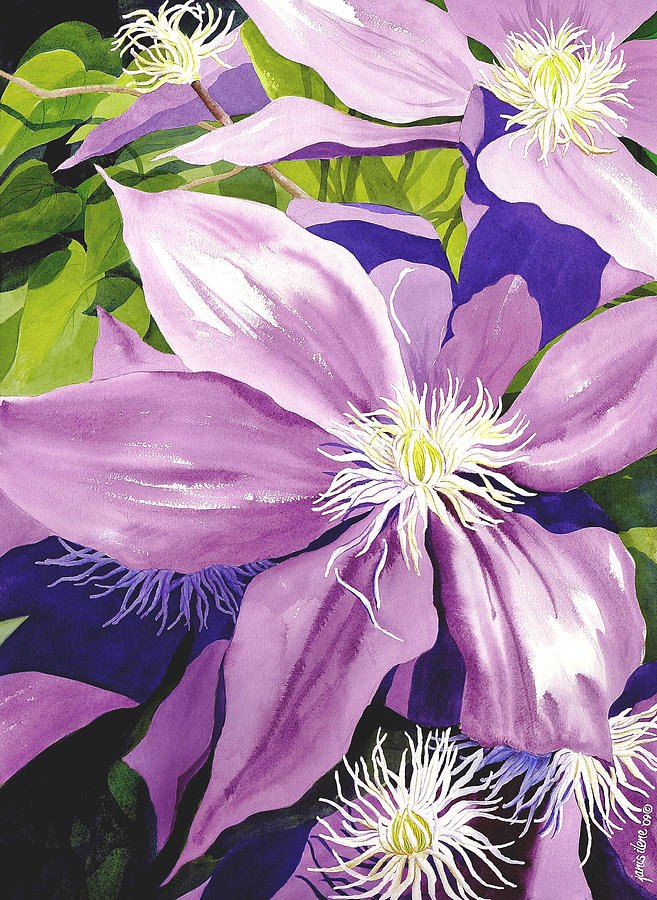 657x900 Clematis Paintings Fine Art America - Clematis Painting