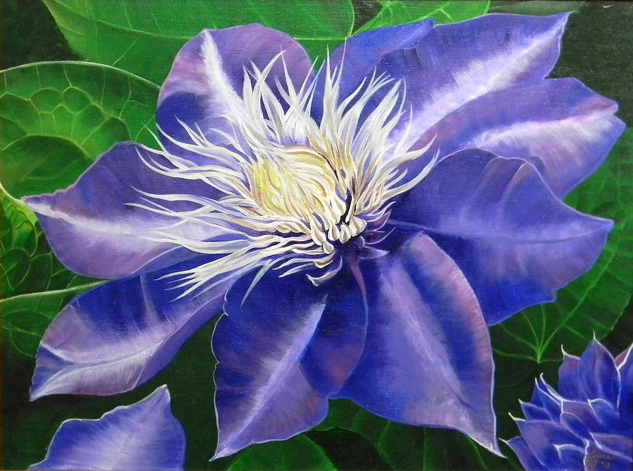 900x670 Purple Clematis Painting By Laura Wilson - Clematis Painting