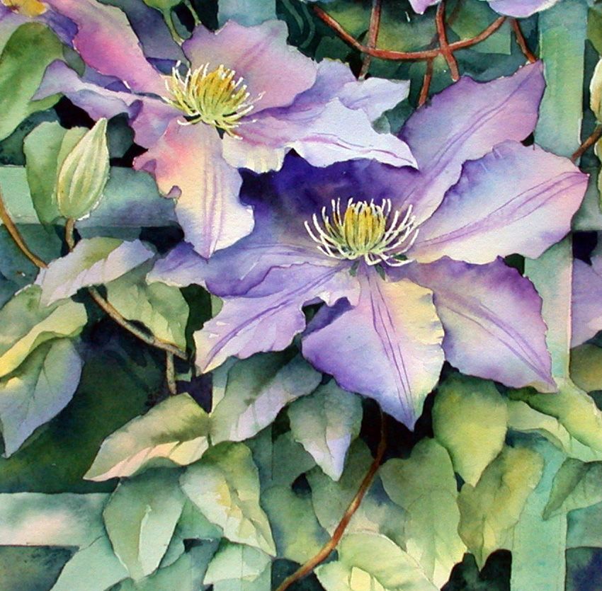 850x835 Ann's Watercolour Studio Negative Painting And A 3d Effect - Clematis Painting