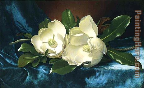 463x285 Martin Johnson Heade Magnolias On A Blue Velvet Cloth Painting - Cloth Painting