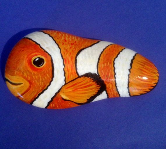 570x512 Hand Painted Rock Clown Fish By Cobblecreatures On Etsy Stone - Clown Fish Painting