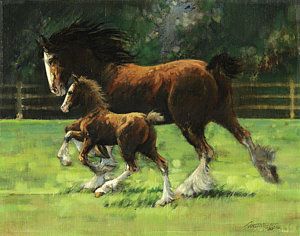 300x236 Horses Painting - Clydesdale Horse Painting