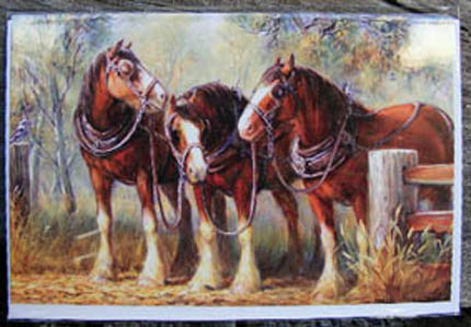430x299 Horsey Gifts Amp Souvenirs - Clydesdale Horse Painting