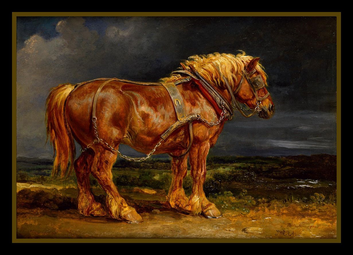 1231x891 Pin By Belle Starr On Great Horse Society Clydesdale - Clydesdale Horse Painting