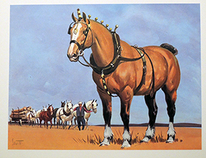 300x230 Sam Savitt's Art Amp Books - Clydesdale Horse Painting