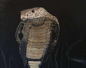 340x270 Cobra Painting Etsy - Cobra Painting