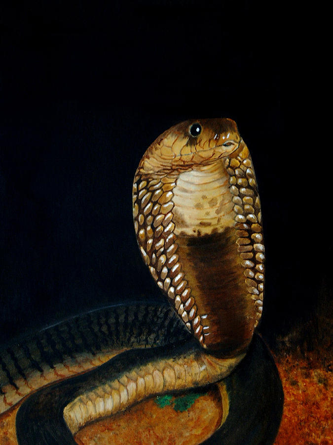 675x900 Egyptian Cobra Painting By Tracey Beer - Cobra Painting