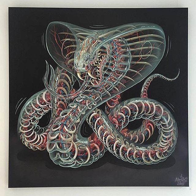 640x640 Insane New Translucent Cobra - Cobra Painting