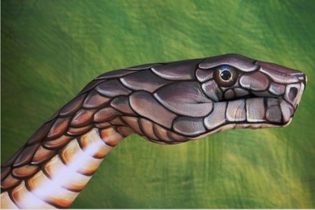 450x300 This Hand Painting Was Inspired By Cobra. - Cobra Painting