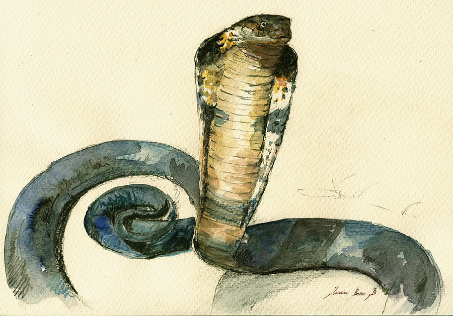 900x629 Cobra Snake Watercolor Painting Art Wall Painting By Juan Bosco - Cobra Painting
