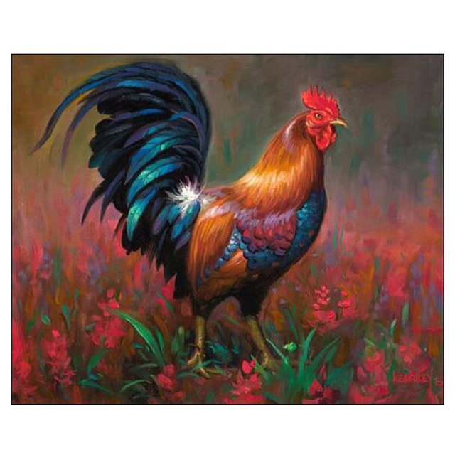 640x640 5d Diy Diamond Painting ,full Square Diamond Embroidery, Diamond - Cock Painting