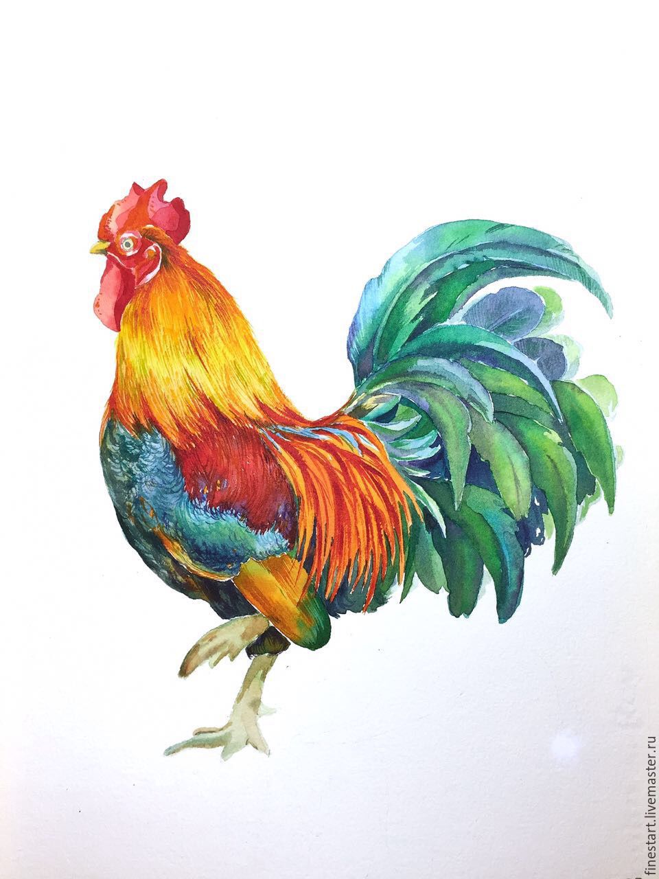 960x1280 Watercolor Rooster Symbol Of The Year 2017 Shopline - Cock Painting