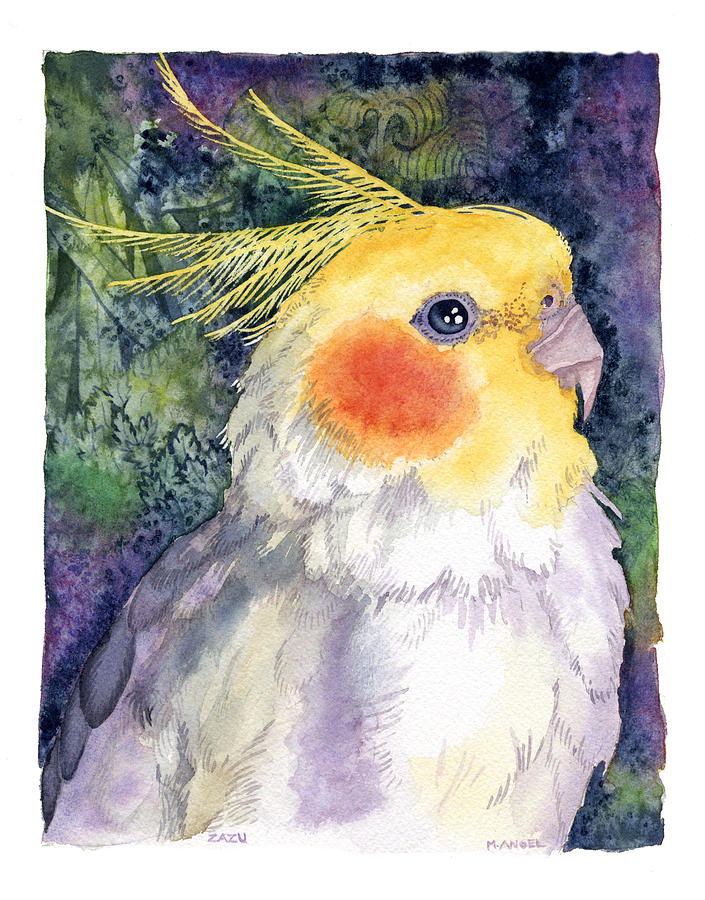 705x900 Cockatiel Watercolor Painting By Michele Angel - Cockatiel Painting
