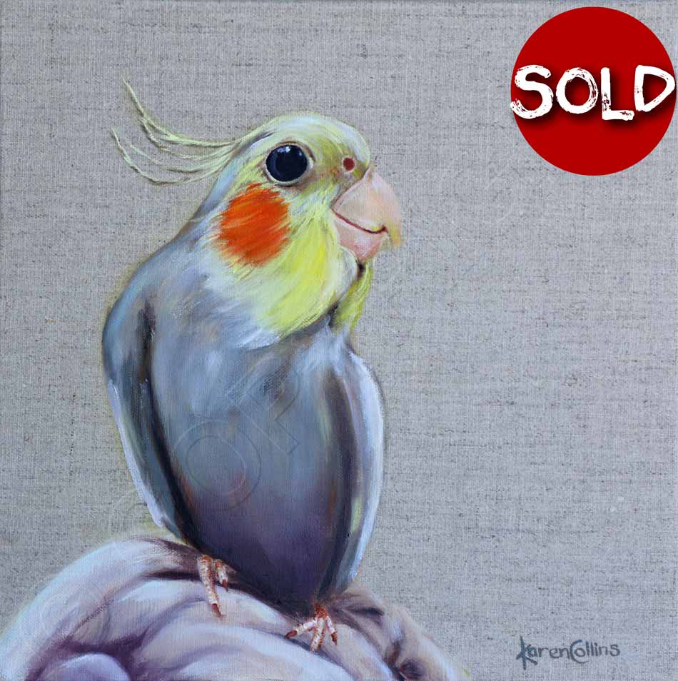 950x954 Animal Art Pet Portraits Paintings Of Animals Art For Sale - Cockatiel Painting