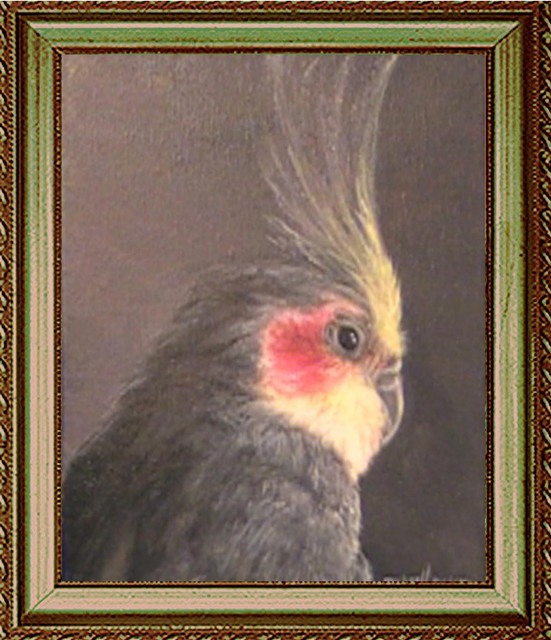 551x640 Michael Pickett Artwork Cricket The Cockatiel Original Painting - Cockatiel Painting