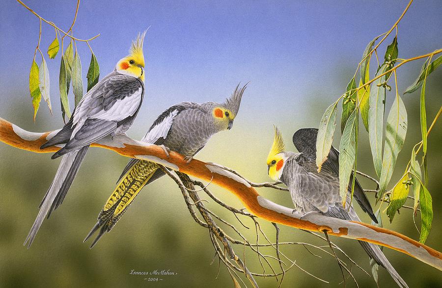 900x588 Morning Light - Cockatiel Painting