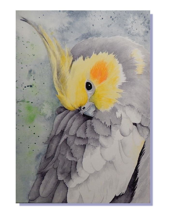 700x900 Original Watercolor Art Cockatiel Parrot Australian Bird Painting - Cockatiel Painting