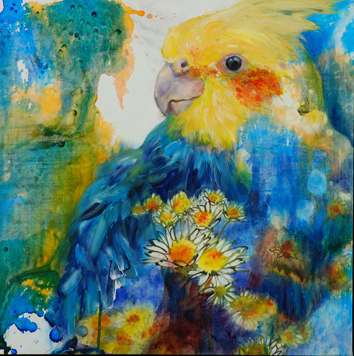 697x700 Oil Painting - Cockatiel Painting