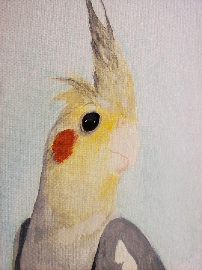 674x900 Portrait Of A Cockatiel Painting By Amber Stanford - Cockatiel Painting