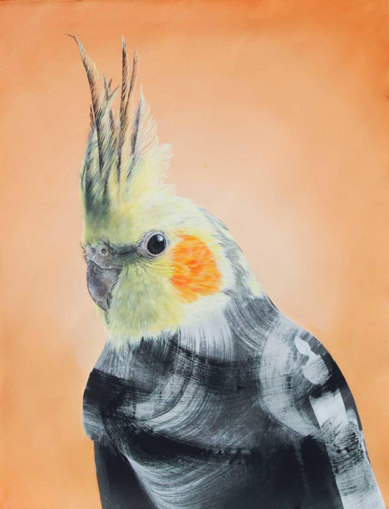 770x1008 Saatchi Art Cockatiel Painting By Geoffrey Carran - Cockatiel Painting