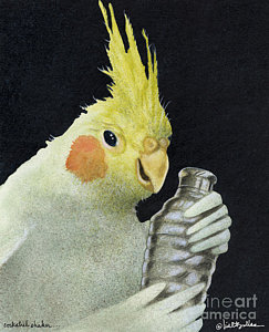 243x300 The Cockatiel Shaker Painting By Will Bullas - Cockatiel Painting