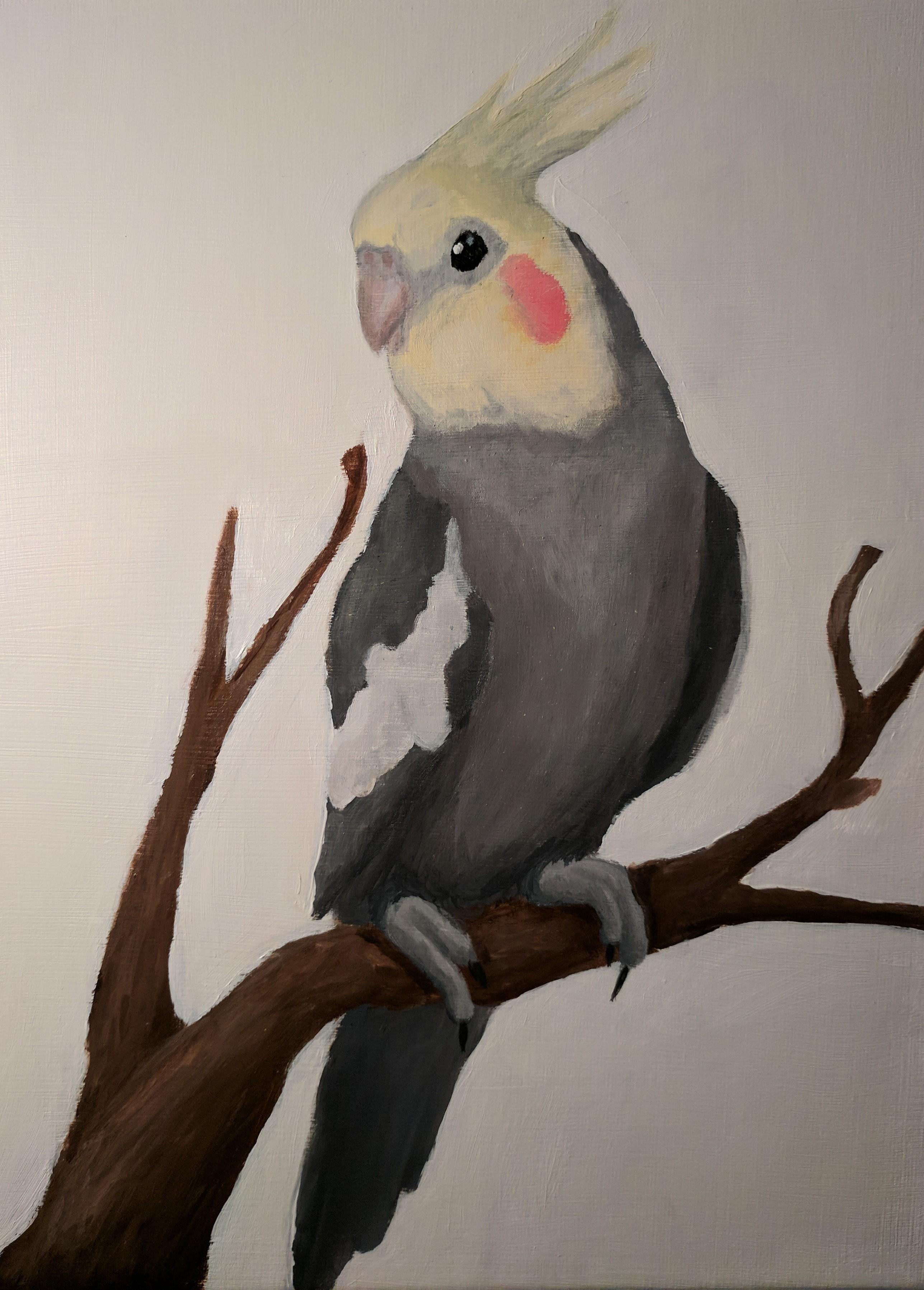 2575x3595 Thought You Guys Might Appreciate This Cockatiel Painting I Just - Cockatiel Painting