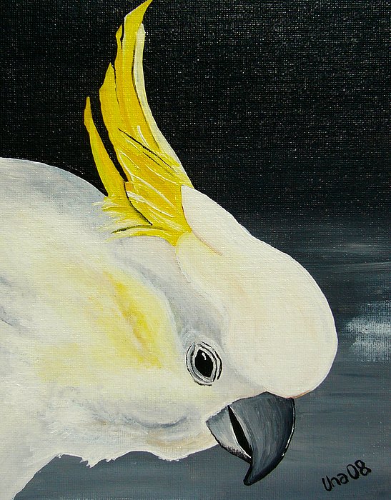 547x700 Frankie - Cockatoo Painting