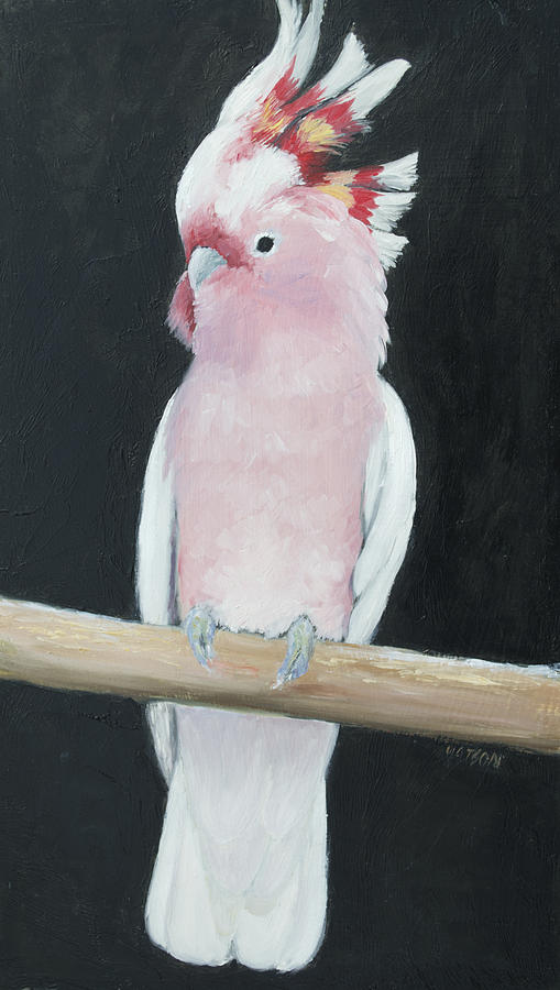 509x900 Major Mitchell Cockatoo Painting By Jan Matson - Cockatoo Painting