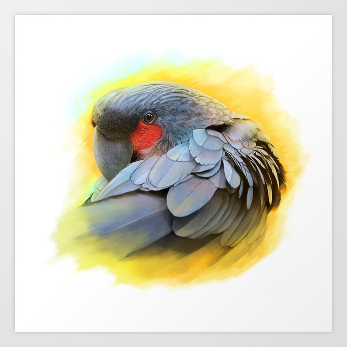 700x700 Black Palm Cockatoo Realistic Painting Art Print By Lifewithbirds - Cockatoo Painting