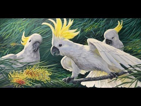 480x360 Painting Cockatoos In Timelapse - Cockatoo Painting