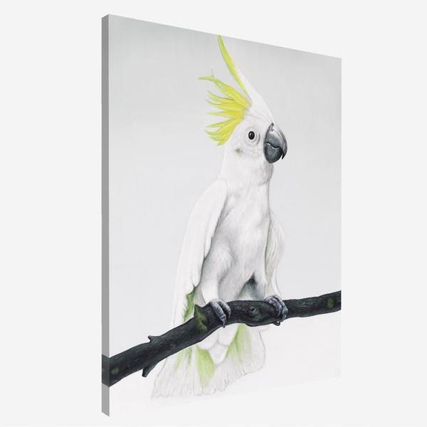 600x600 Sulfur Crested Cockatoo Canvas Bird Wall Artwork The Print - Cockatoo Painting