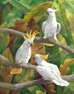 236x300 White Cockatoo Paintings Fine Art America - Cockatoo Painting