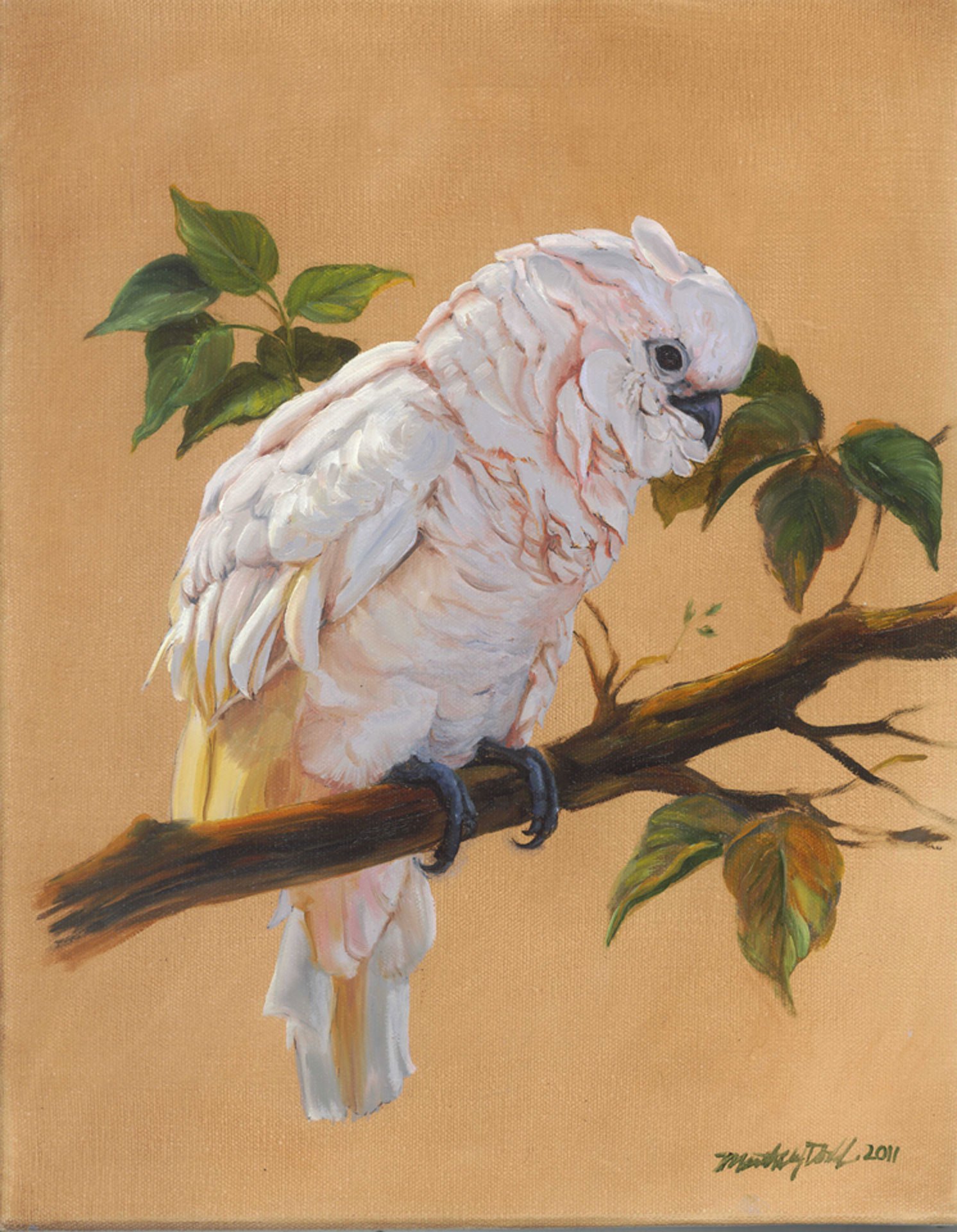 1492x1920 Cockatoo Oil Painting On Canvas, Rosita By Martha J Dodd - Cockatoo Painting