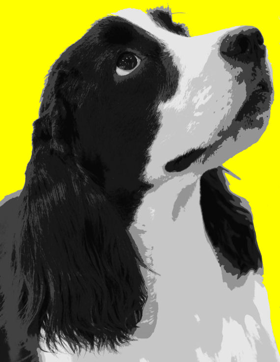 570x737 Cocker Spaniel Dog Pop Art Paint By Number Kit - Cocker Spaniel Painting