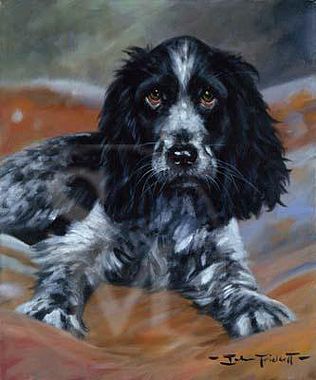 316x380 Cocker Spaniel In Dog Limited Edition Prints - Cocker Spaniel Painting