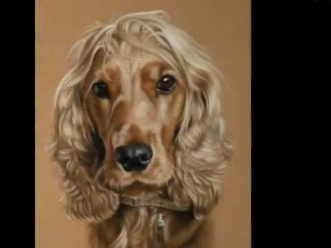 480x360 Cocker Spaniel Portrait In Pastels - Cocker Spaniel Painting