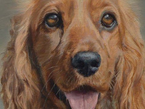 480x360 Dog Portrait, Oil Painting Of Cocker Spaniel Lilly Time Lapse - Cocker Spaniel Painting