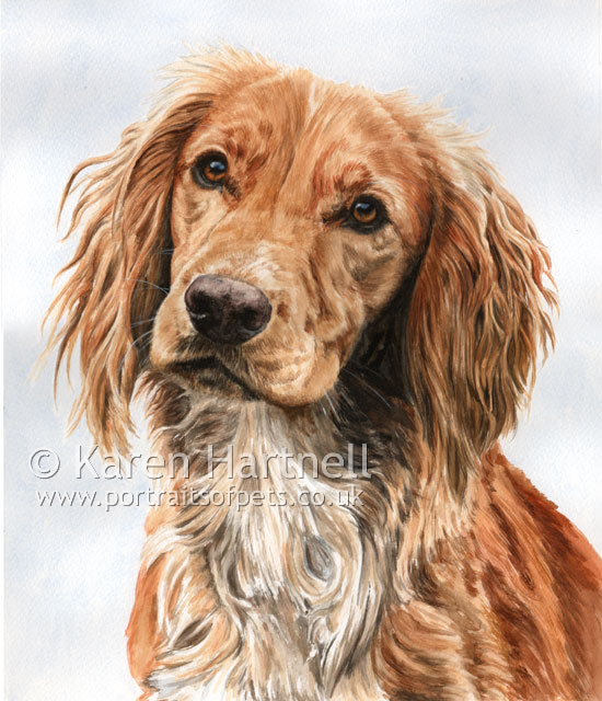 550x640 Karen Hartnell - Cocker Spaniel Painting
