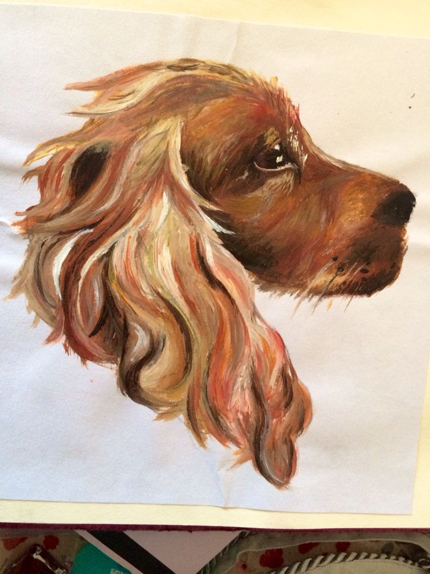 852x1136 Love Painting Cocker Spaniels And The Detail In Their Fur! Acrylic - Cocker Spaniel Painting