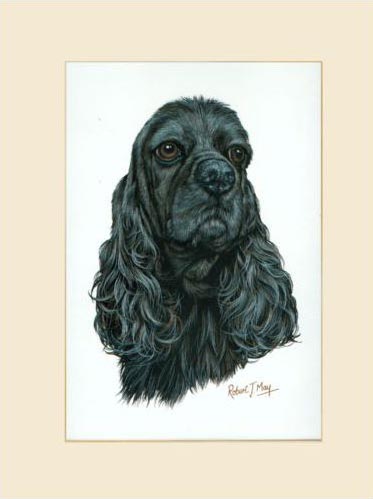373x499 Original American Cocker Spaniel Painting Black - Cocker Spaniel Painting