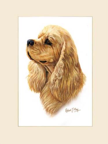 373x498 Original American Cocker Spaniel Painting - Cocker Spaniel Painting