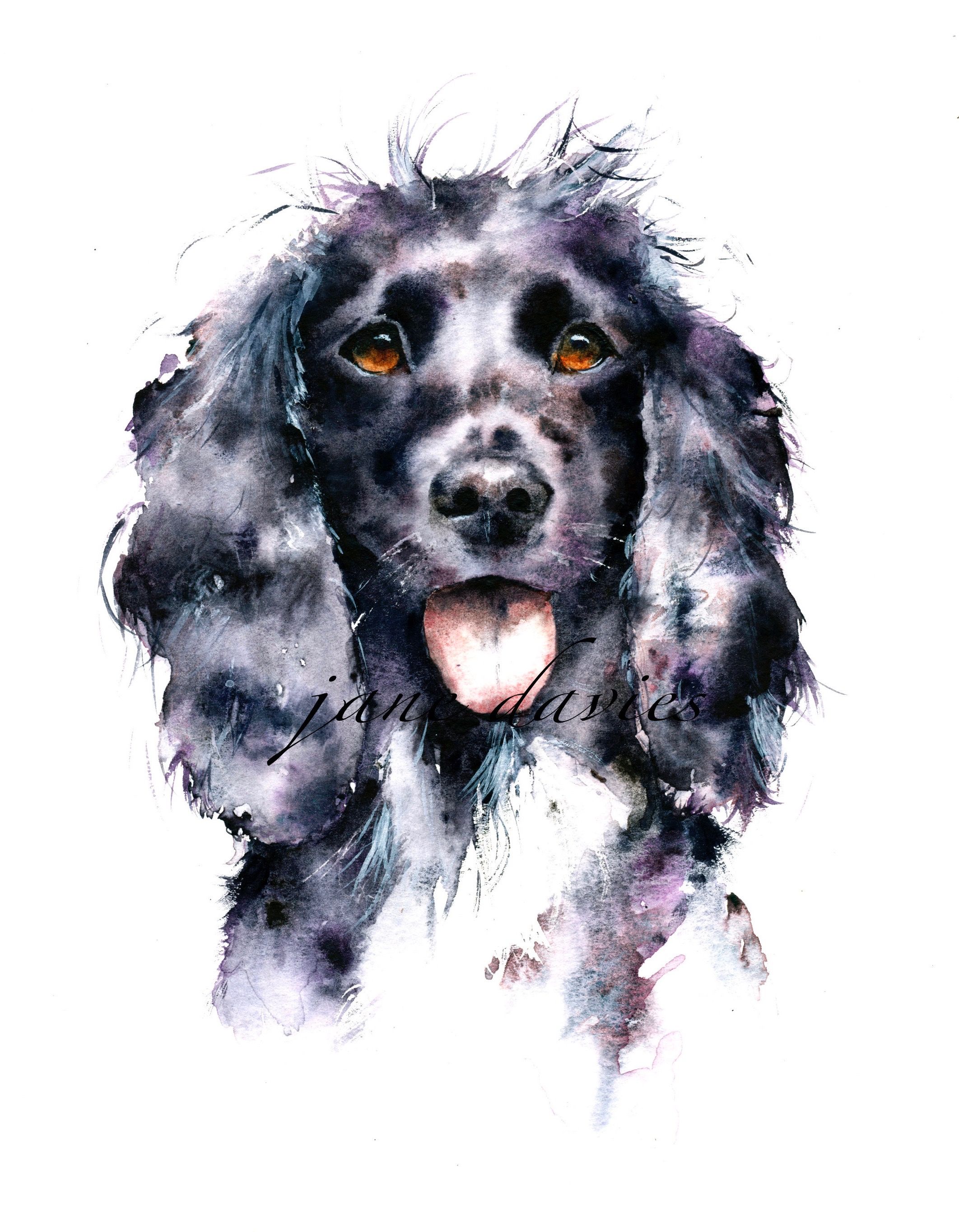 2124x2729 Pet Portrait Painting Of A Cocker Spaniel By Watercolour Artist - Cocker Spaniel Painting