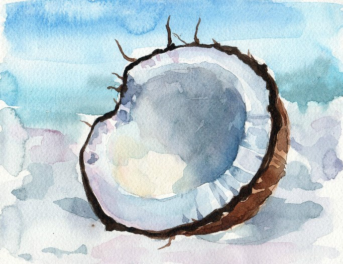 683x526 Coconut Watercolor Print Watercolor Painting Minimalist - Coconut Painting