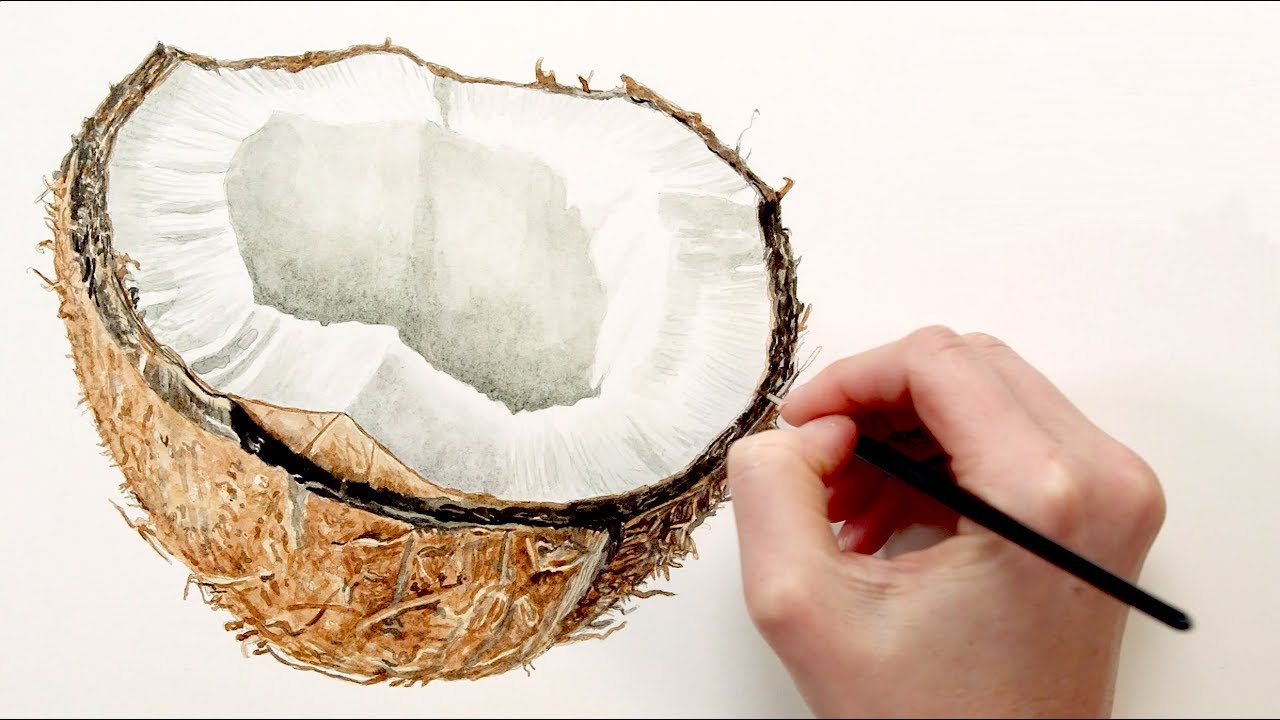 1280x720 Painting The Hairy Texture To A Coconut Shell In Watercolor - Coconut Painting